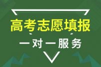 開高考志愿填報機構(gòu)需要什么條件