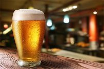 代理啤酒利潤一般在多少？