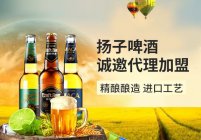 這個(gè)夏天做什么生意最好做？可以做啤酒代理！