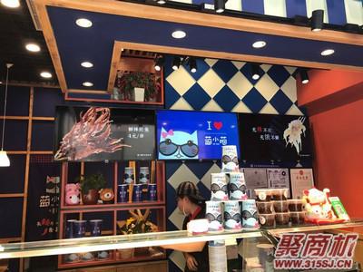北京蓝小喵公司客服体验感受怎么样？
