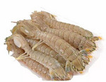 皮皮虾不能和哪些食物同食