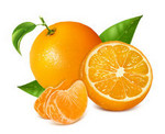 橘子不能和哪些食物同食