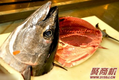 金枪鱼不能和哪些食物同食
