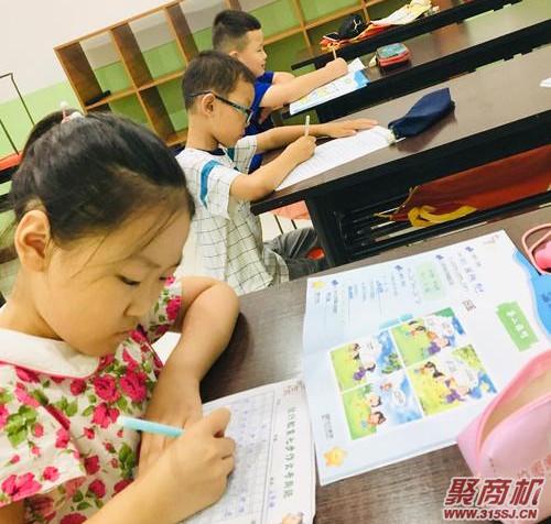 小学阅读与作文品牌七步作文怎么样_3