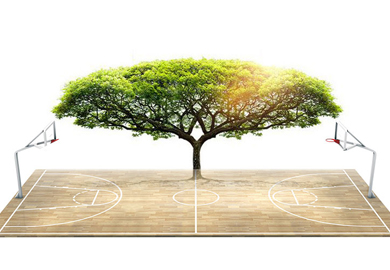 畅森体育运动木地板枫桦木篮球木地板