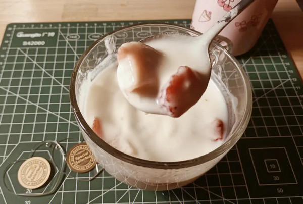 酸奶代理手工酸奶怎么样？