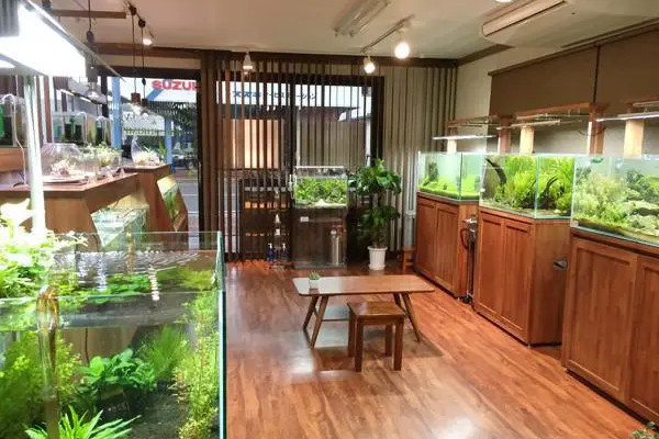 开个水族店投资需要多少钱_1