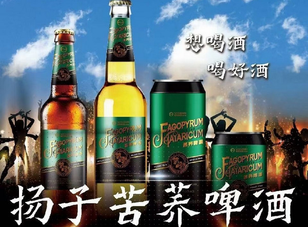 卖苦荞啤酒可以代理哪个品牌？_3